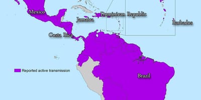 Carte de la jamaïque zika